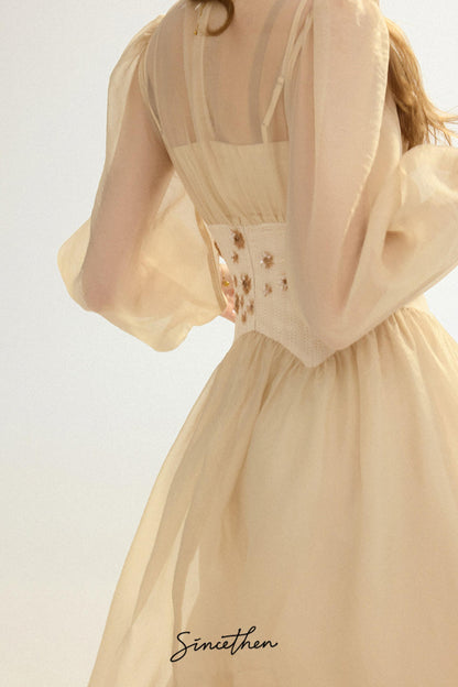 Aveline French Pastoral Embroidered Mesh Maxi Dress